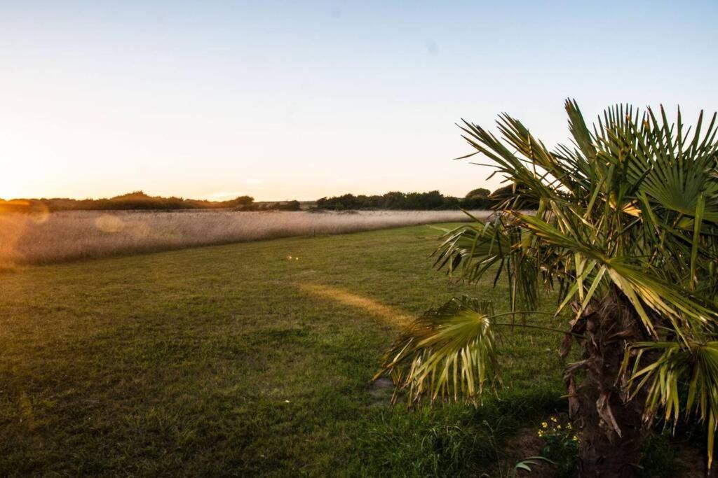 Вилла Gite Au Pied Des Dunes, 200M De La Plage Montmartin-sur-Mer Экстерьер фото